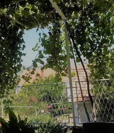 Anka - Terrace / Next To The * Dubrovnik