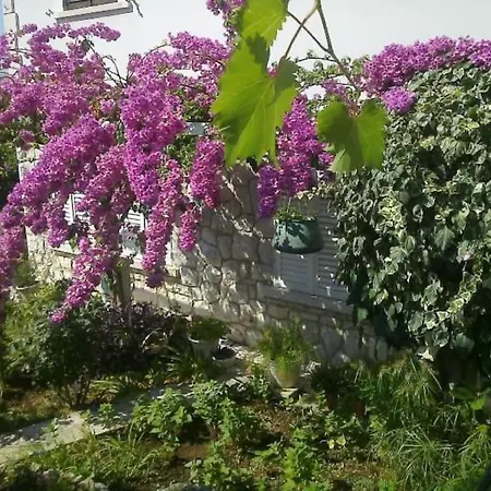 Anka - Terrace / Next To The Dubrovnik