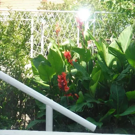 Apartman Anka - Terrace / Next To The Dubrovnik