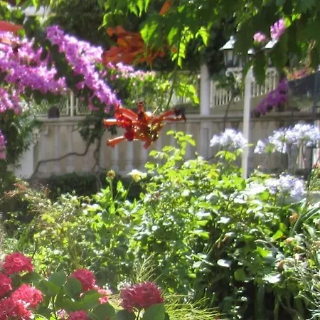 Anka - Terrace / Next To The * Dubrovnik